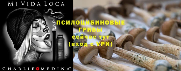 гидра Верхнеуральск