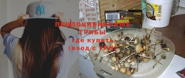не бодяженный Верхний Тагил